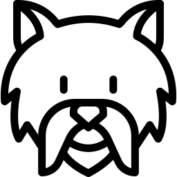 illustration_mirror